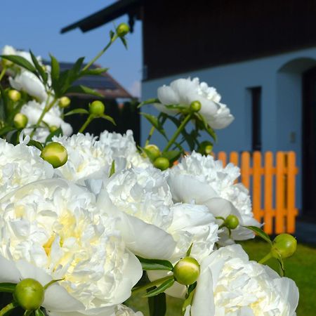 Ferienhaus Antdorfer Gartenglueck Dış mekan fotoğraf