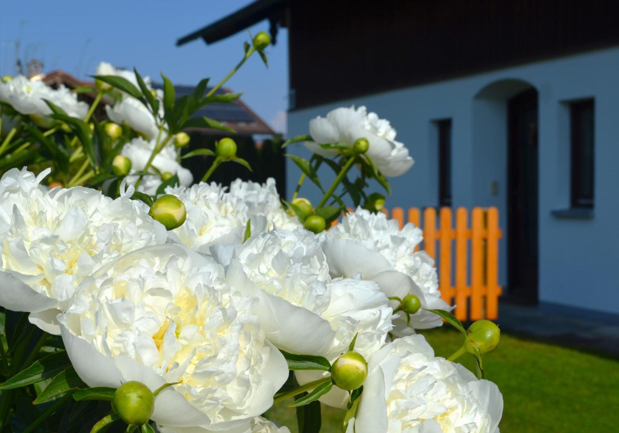 Ferienhaus Antdorfer Gartenglueck Dış mekan fotoğraf